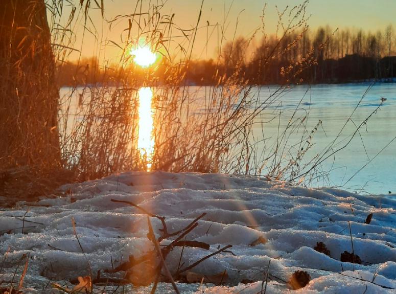  Фотография весеннего солнца 